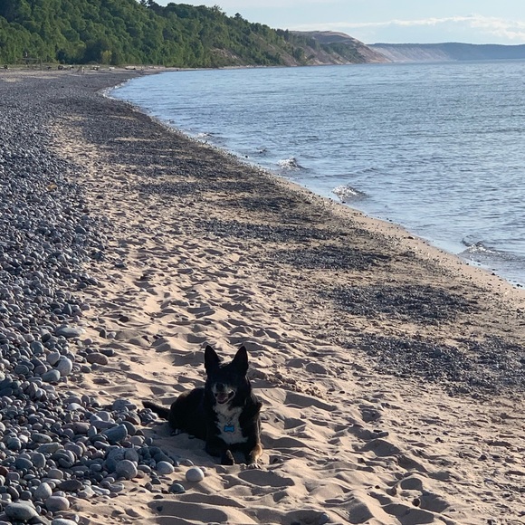 Guess what?!?! We are live live!!! - Picture 12 of 16